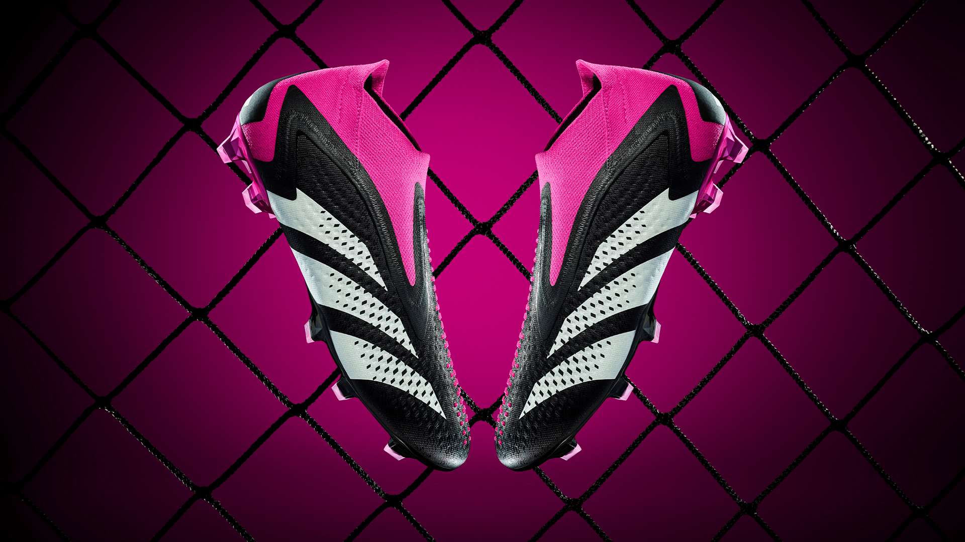 与惊人毅力 与惊人毅力